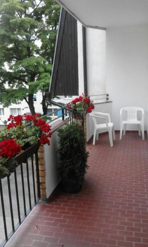 Apartament Centrum โควอบเซก ภายนอก รูปภาพ